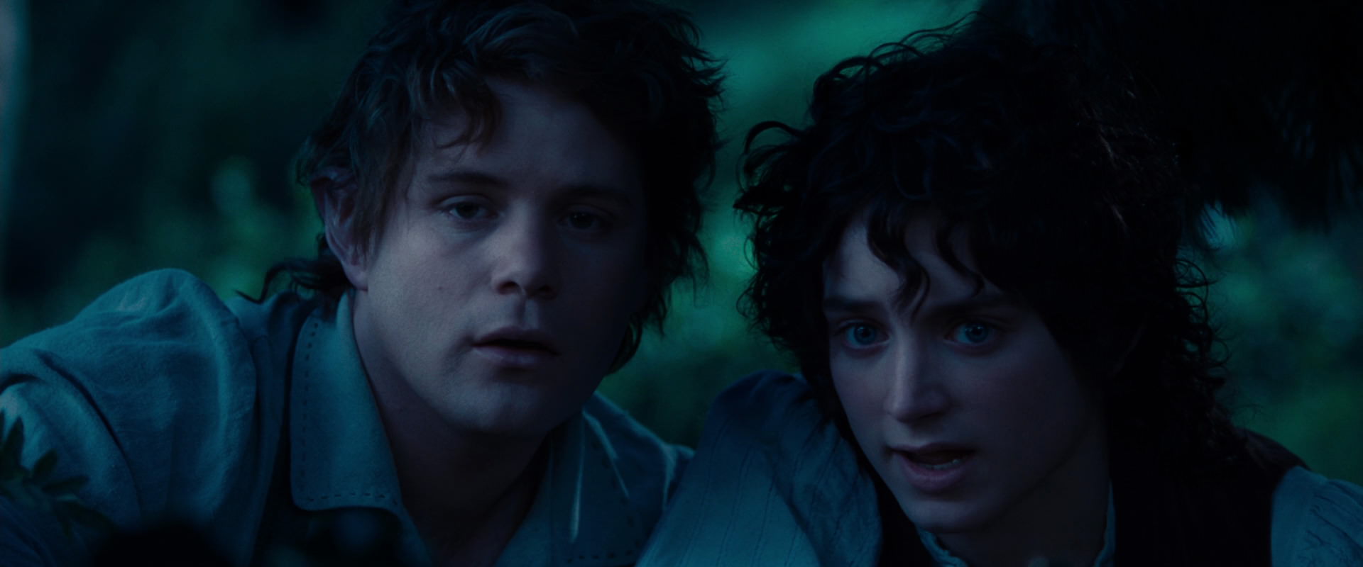 The Lord of the Rings: The Fellowship of the Ring (2001) HD screenshot 5225