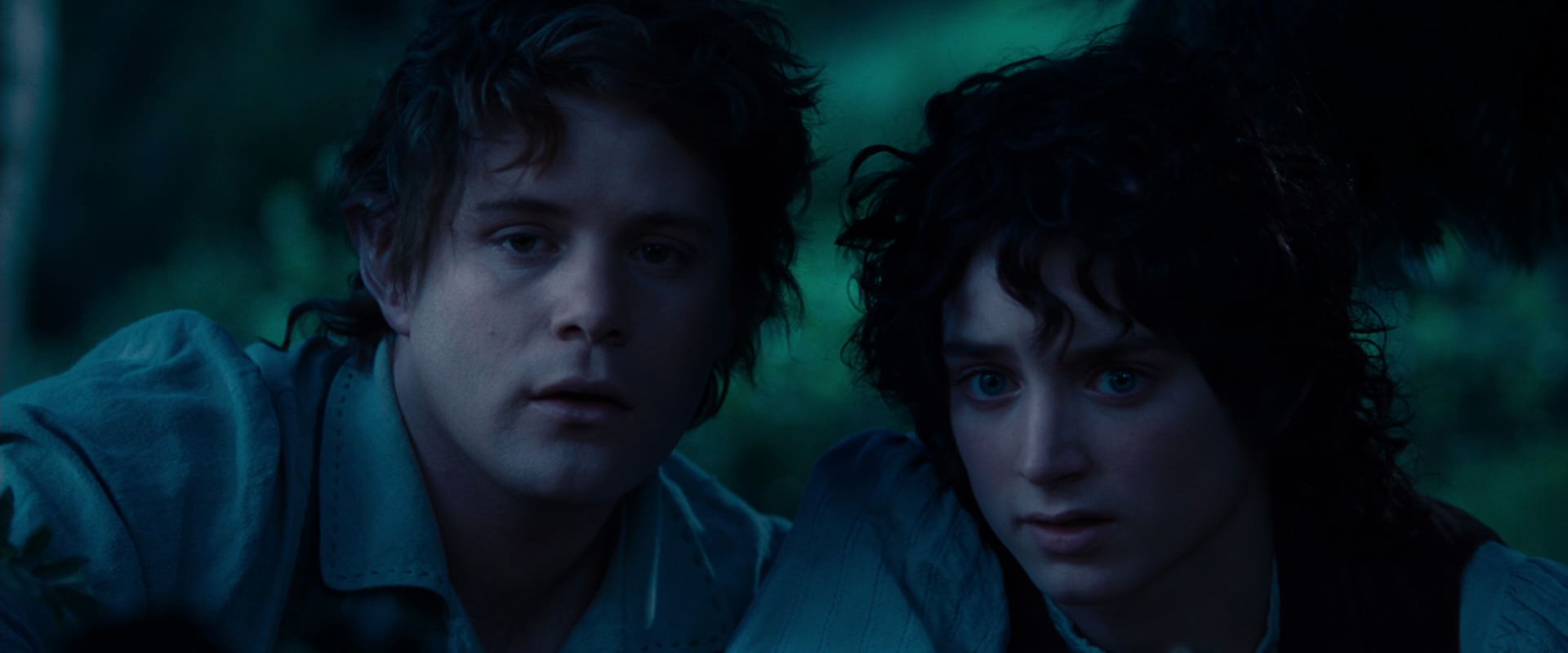 The Lord of the Rings: The Fellowship of the Ring (2001) movie still 5227