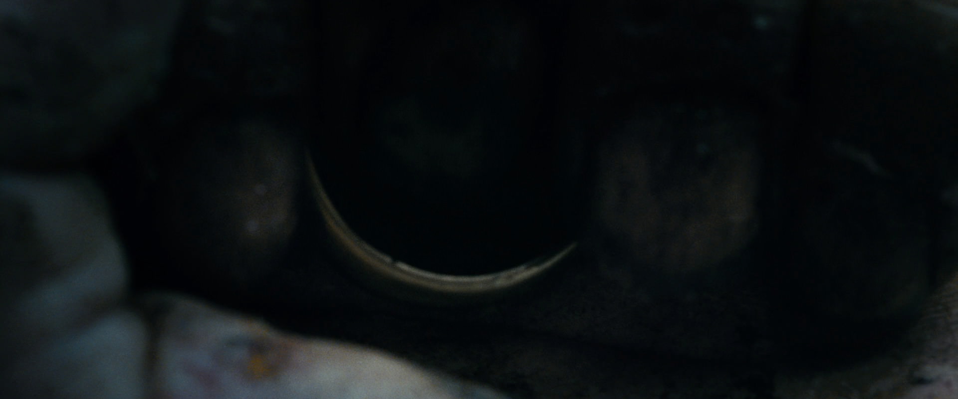 The Lord of the Rings: The Fellowship of the Ring (2001) movie still 523