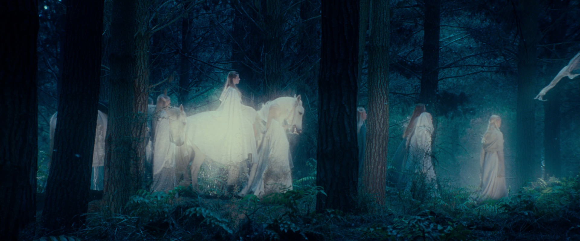 The Lord of the Rings: The Fellowship of the Ring (2001) screencap 5238