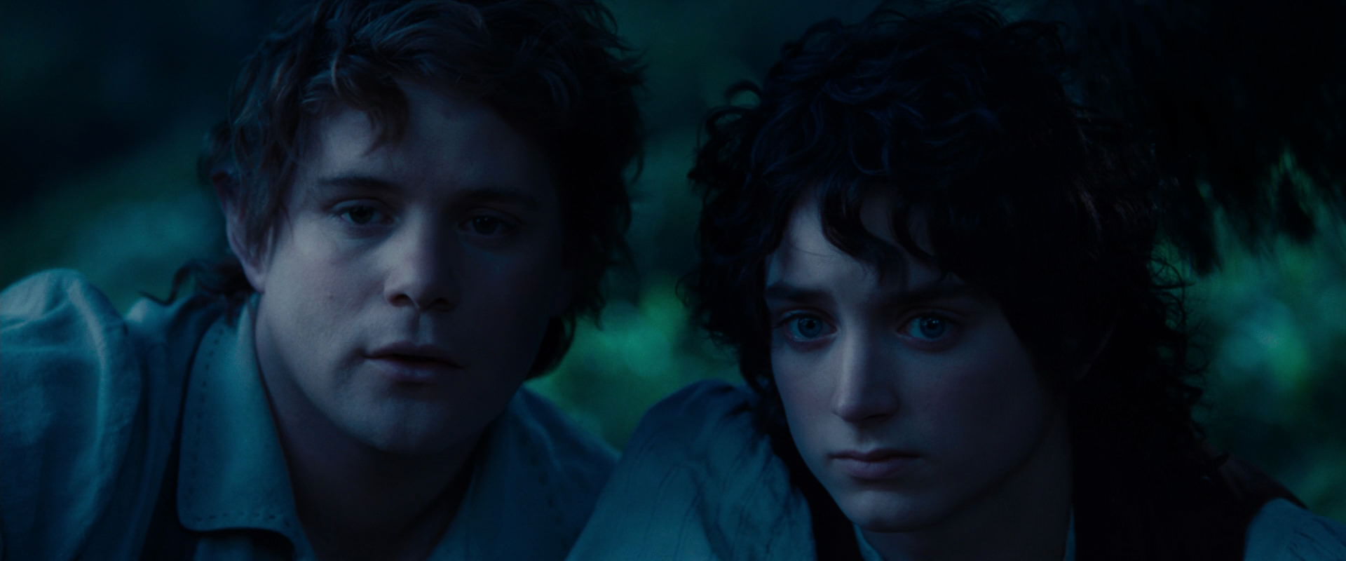 The Lord of the Rings: The Fellowship of the Ring (2001) HD screenshot 5240