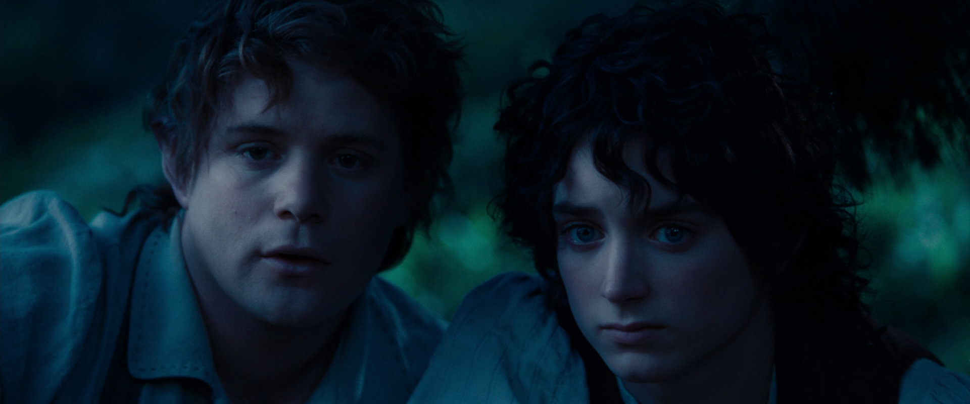 The Lord of the Rings: The Fellowship of the Ring (2001) screencap 5241
