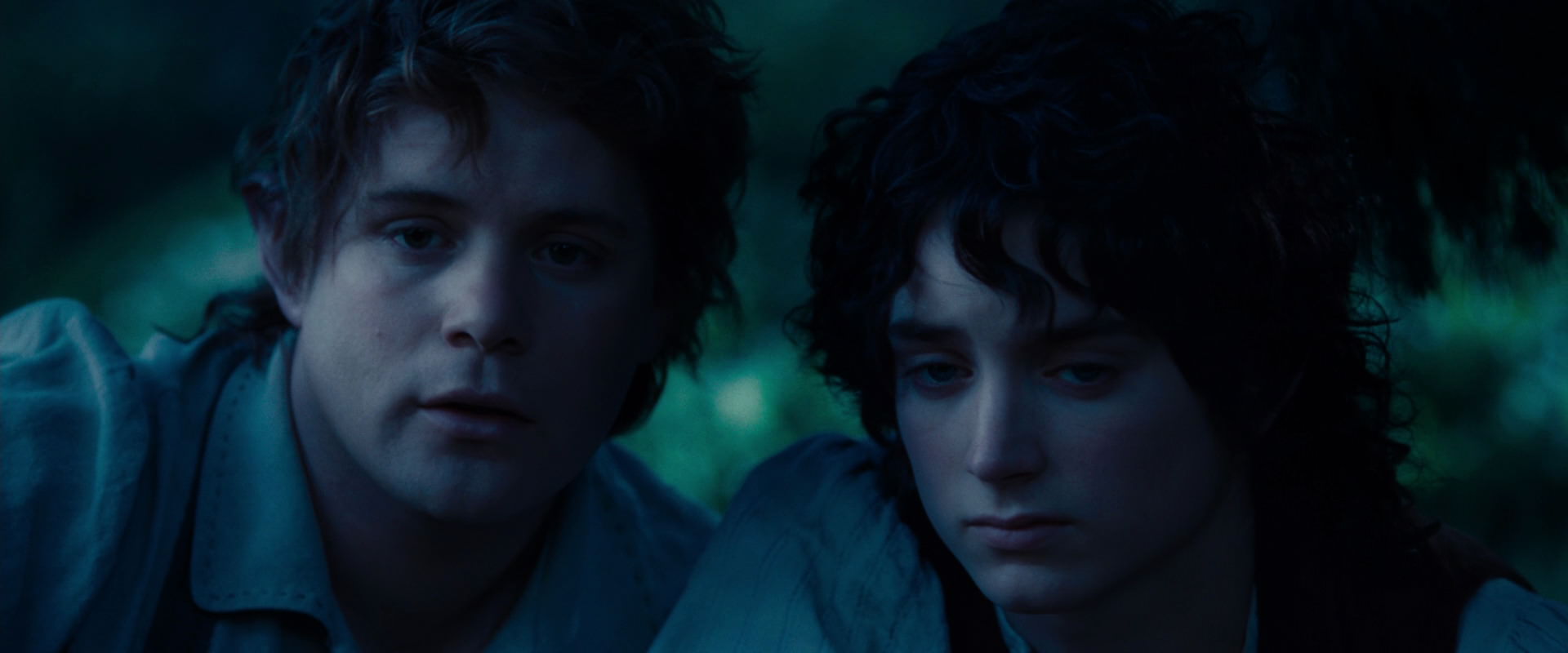 The Lord of the Rings: The Fellowship of the Ring (2001) movie still 5245