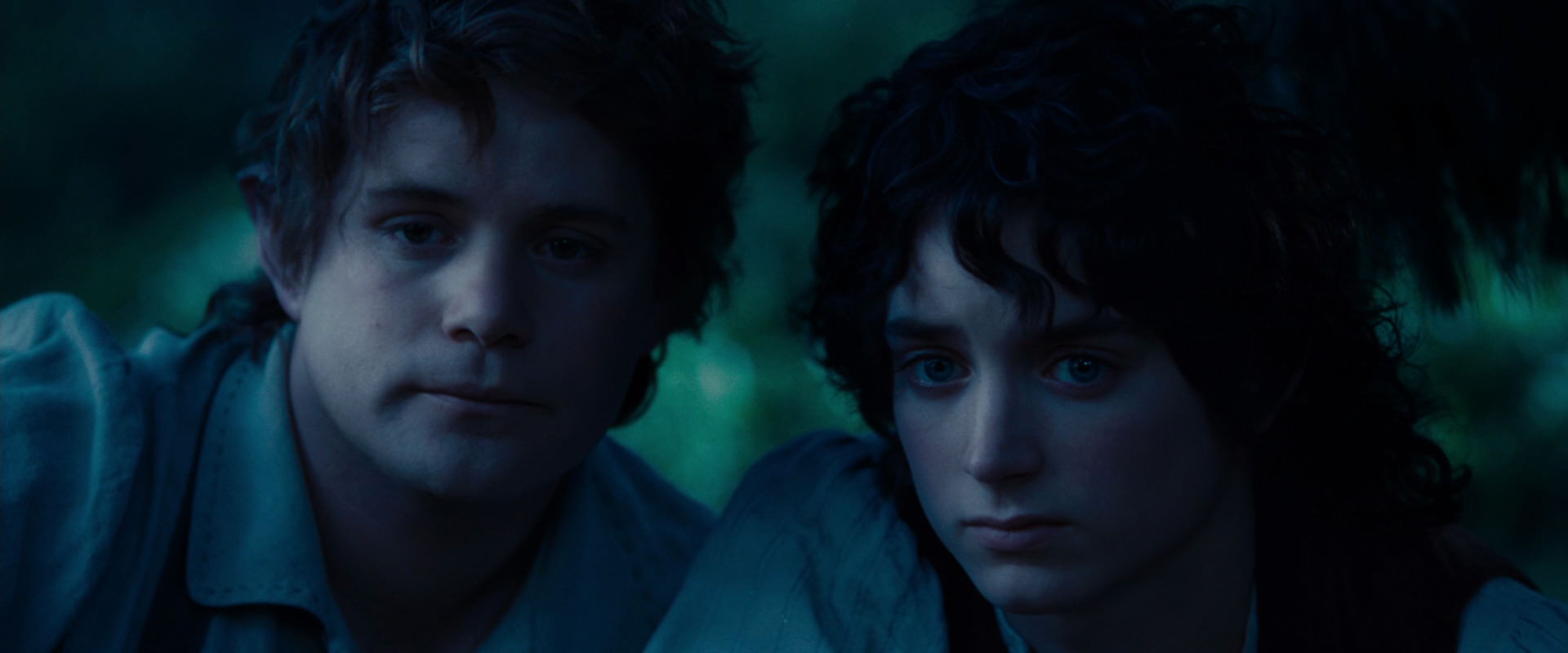 The Lord of the Rings: The Fellowship of the Ring (2001) screencap 5247