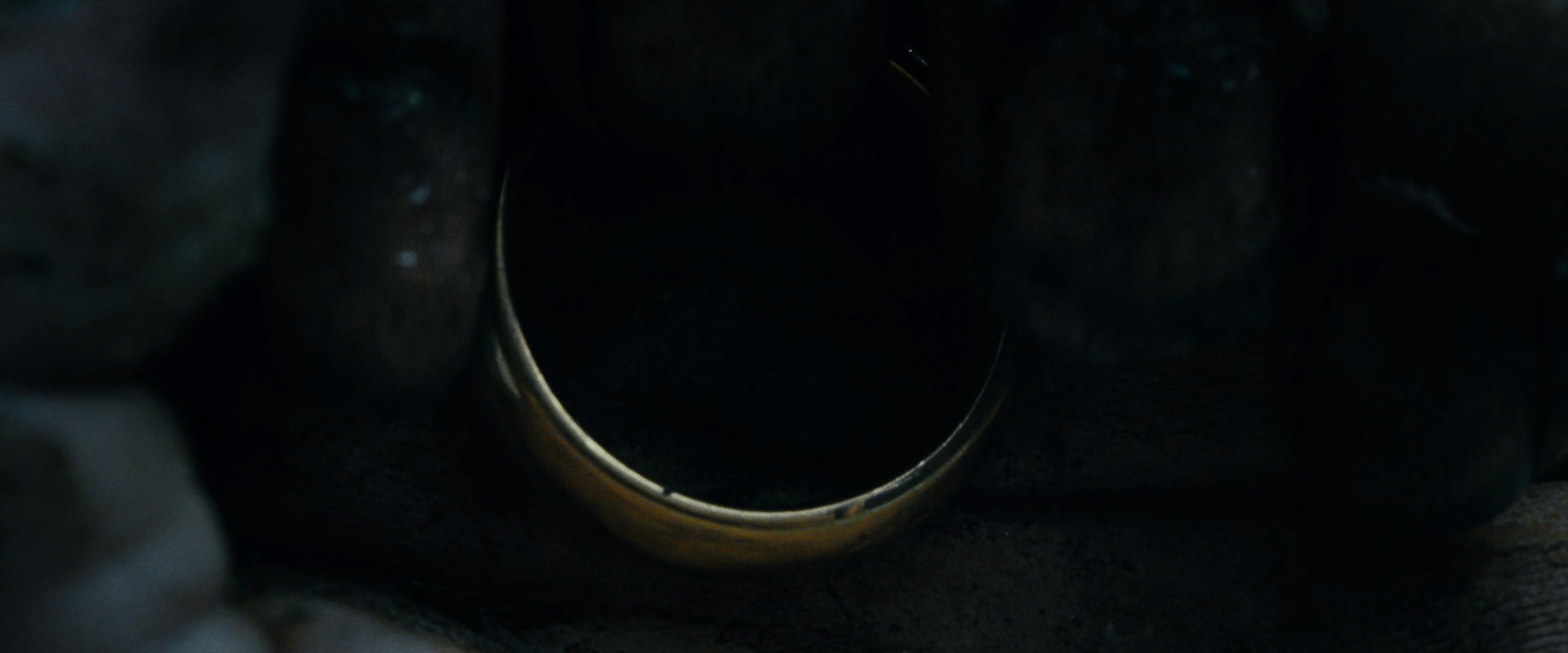 The Lord of the Rings: The Fellowship of the Ring (2001) screencap 525
