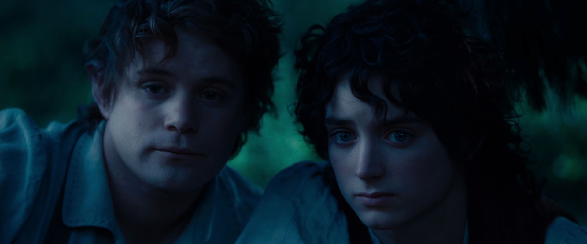 The Lord of the Rings: The Fellowship of the Ring (2001) screencap 5253