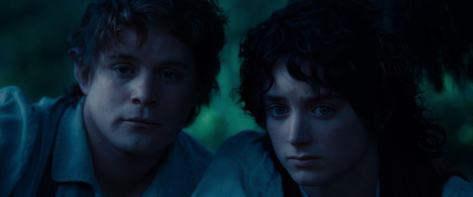 The Lord of the Rings: The Fellowship of the Ring (2001) HD screenshot 5255