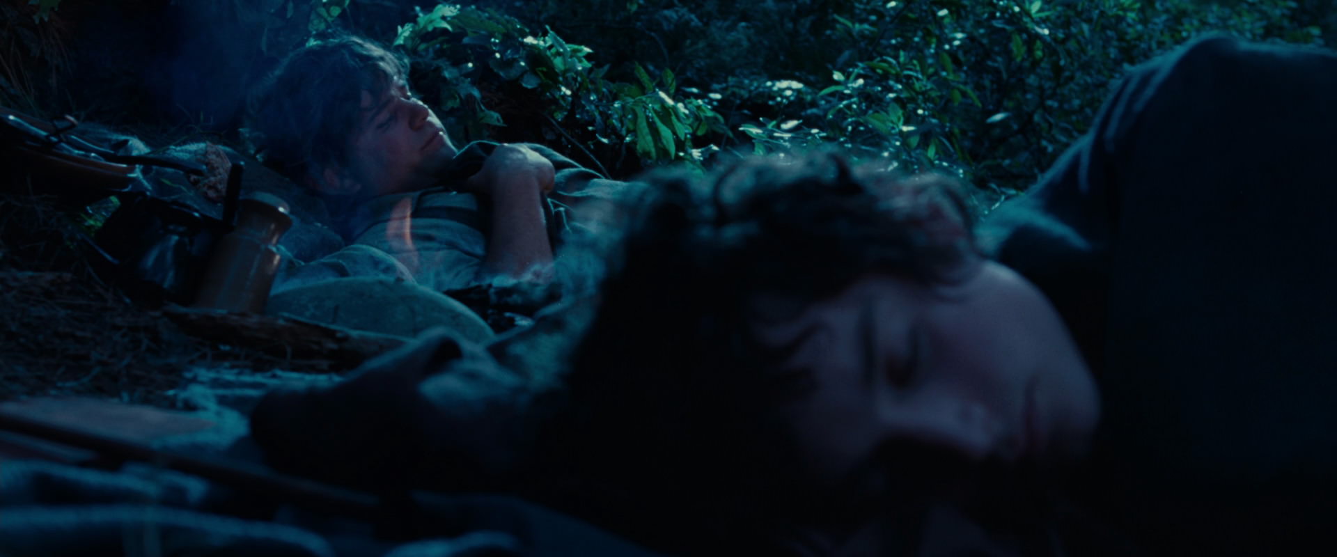 The Lord of the Rings: The Fellowship of the Ring (2001) HD screenshot 5264