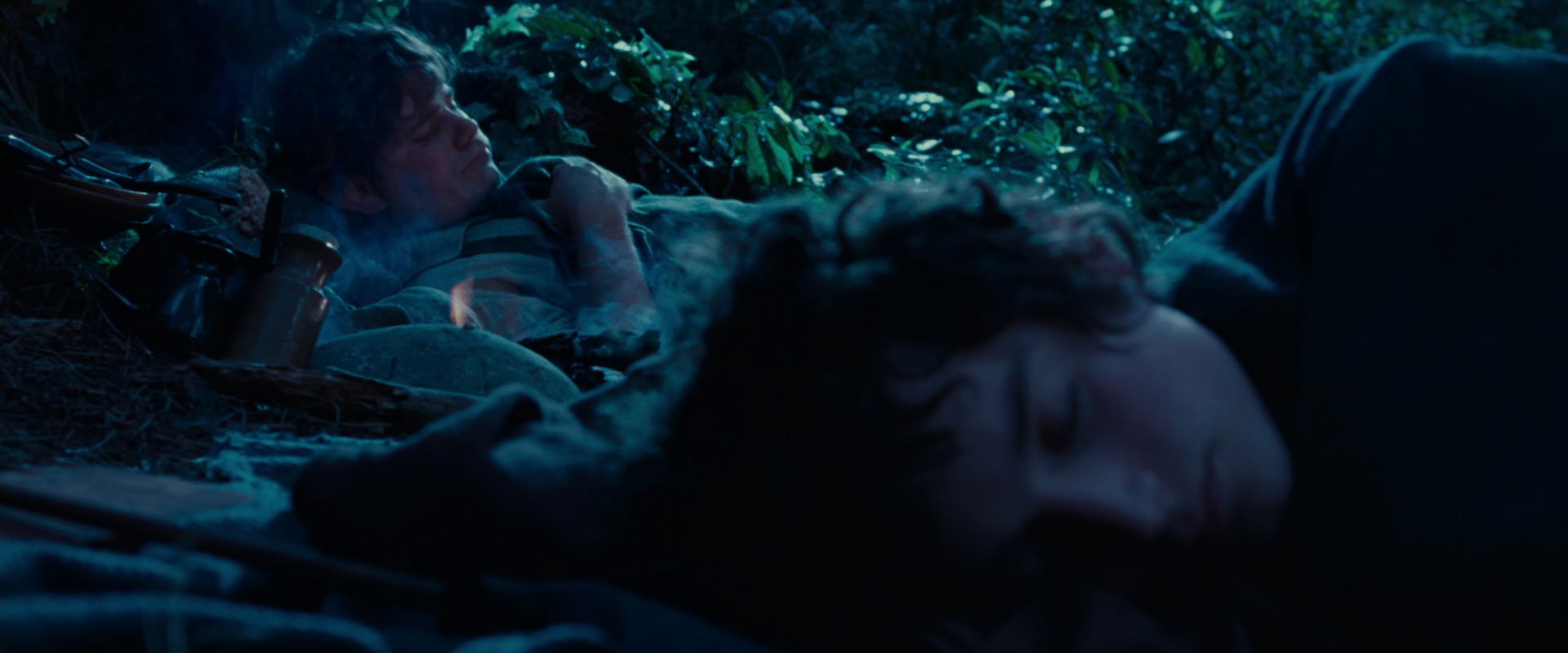 The Lord of the Rings: The Fellowship of the Ring (2001) screencap 5265