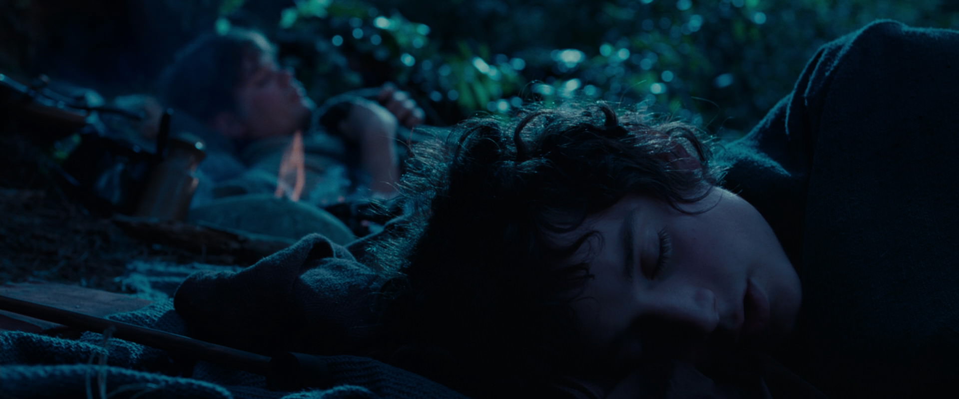 The Lord of the Rings: The Fellowship of the Ring (2001) movie still 5269