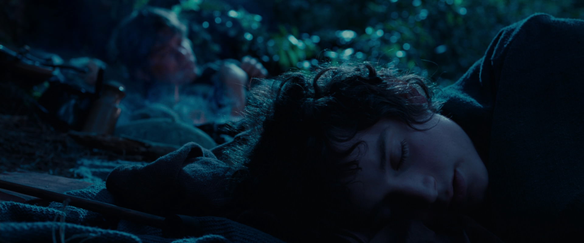 The Lord of the Rings: The Fellowship of the Ring (2001) screencap 5271