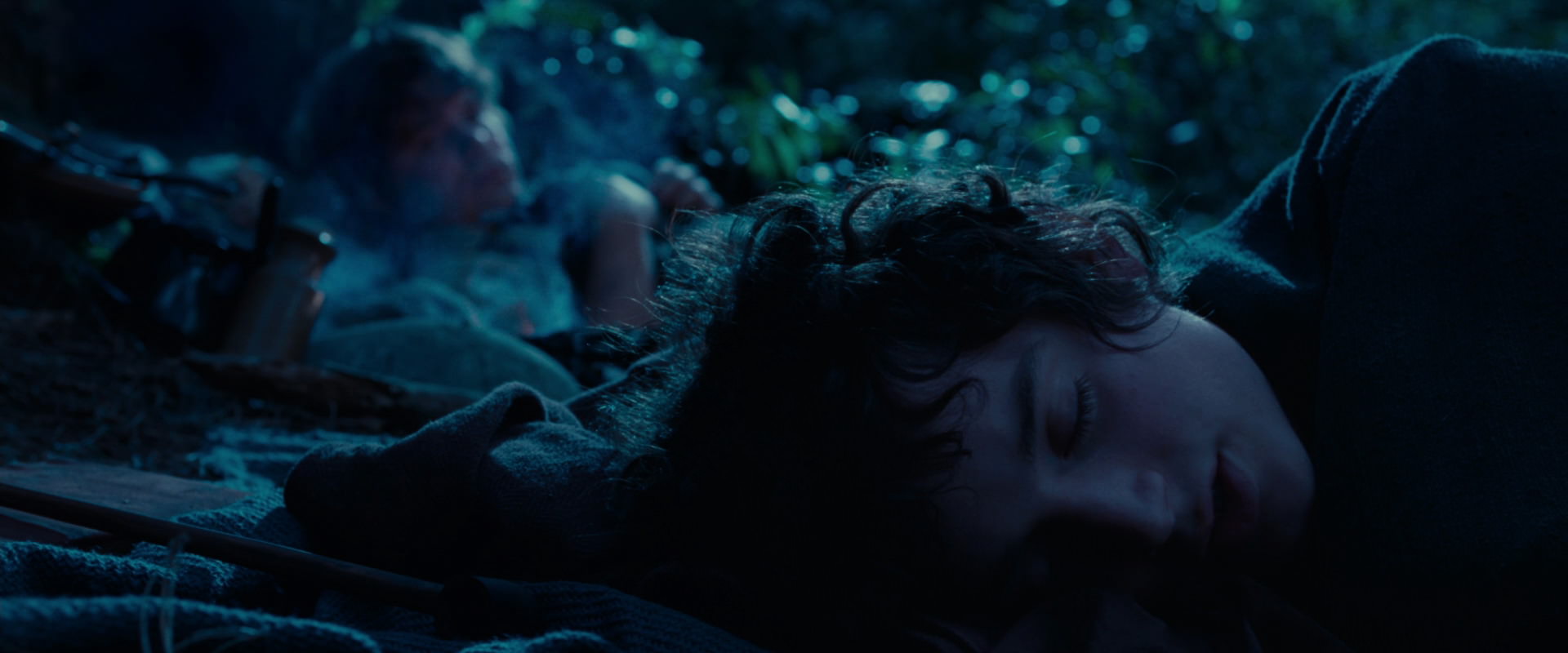 The Lord of the Rings: The Fellowship of the Ring (2001) HD screenshot 5273