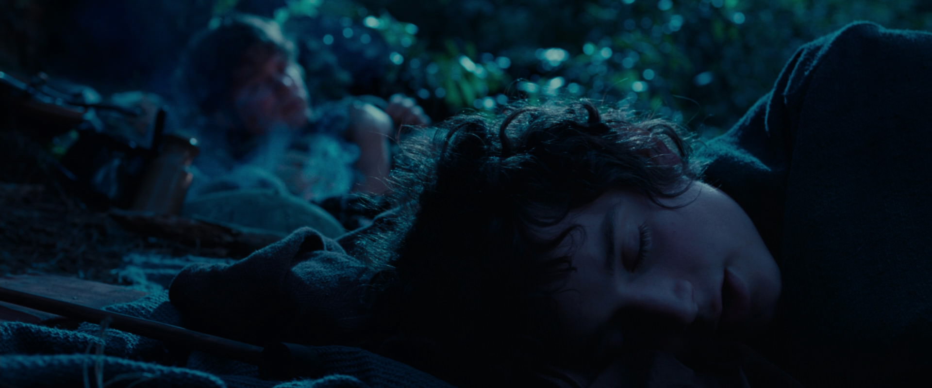 The Lord of the Rings: The Fellowship of the Ring (2001) screencap 5274