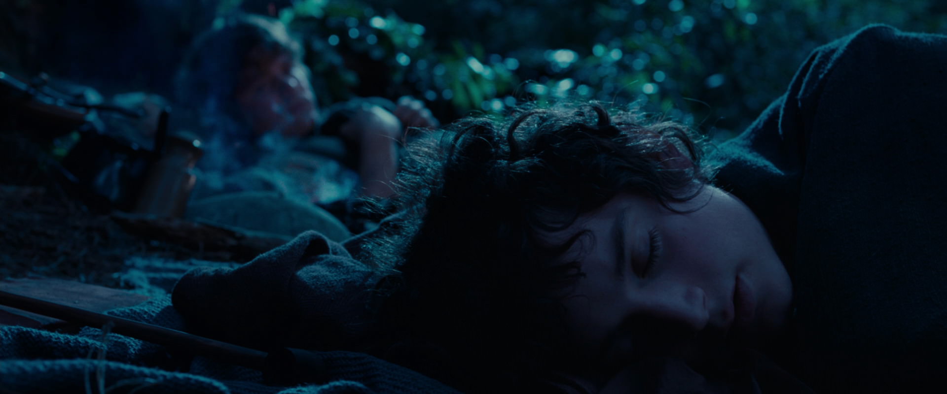 The Lord of the Rings: The Fellowship of the Ring (2001) HD screenshot 5276
