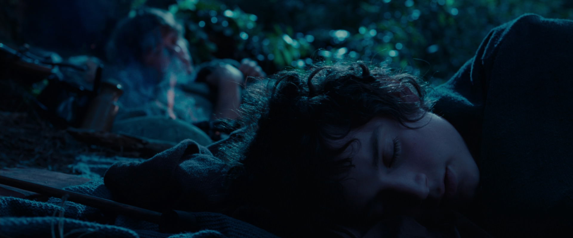 The Lord of the Rings: The Fellowship of the Ring (2001) screencap 5277