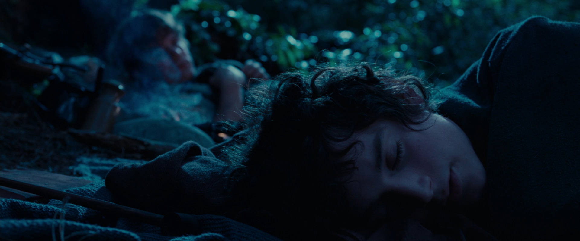 The Lord of the Rings: The Fellowship of the Ring (2001) screencap 5283