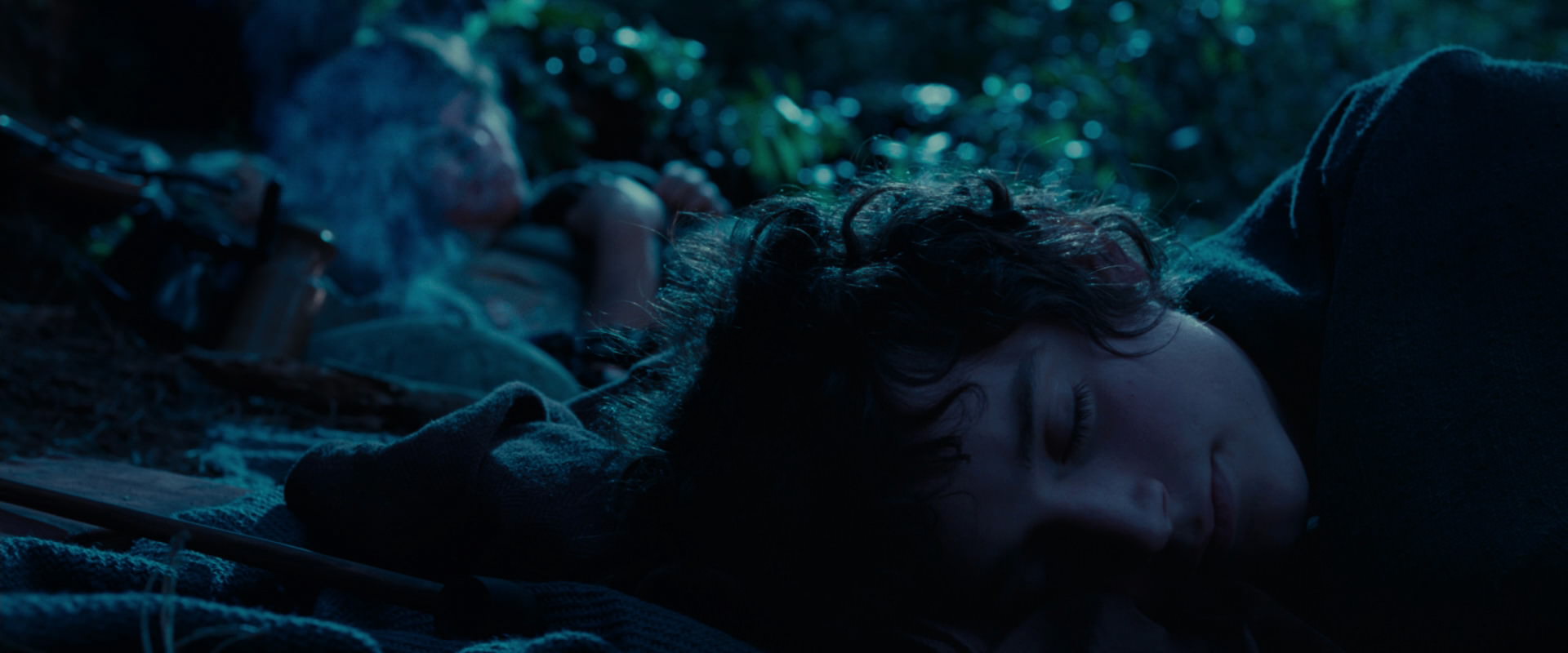 The Lord of the Rings: The Fellowship of the Ring (2001) HD screenshot 5285