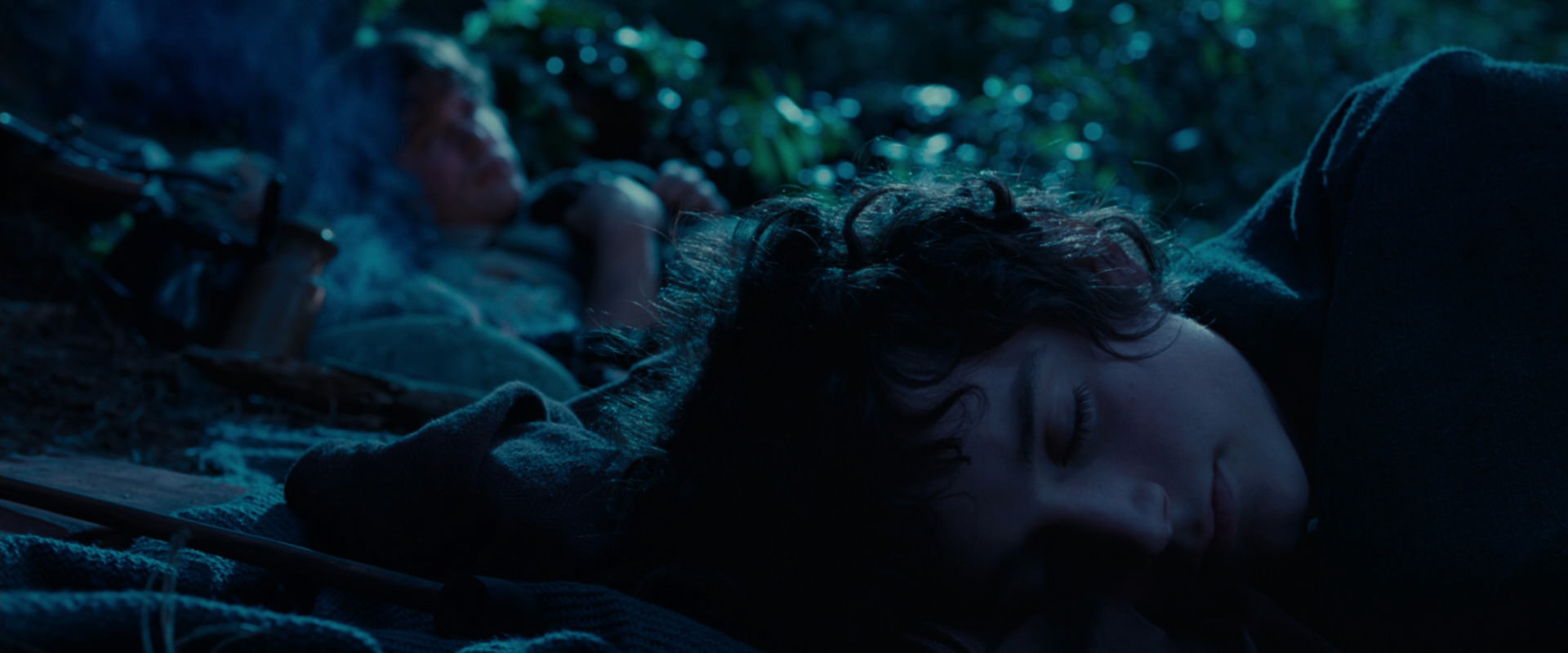 The Lord of the Rings: The Fellowship of the Ring (2001) HD screenshot 5288