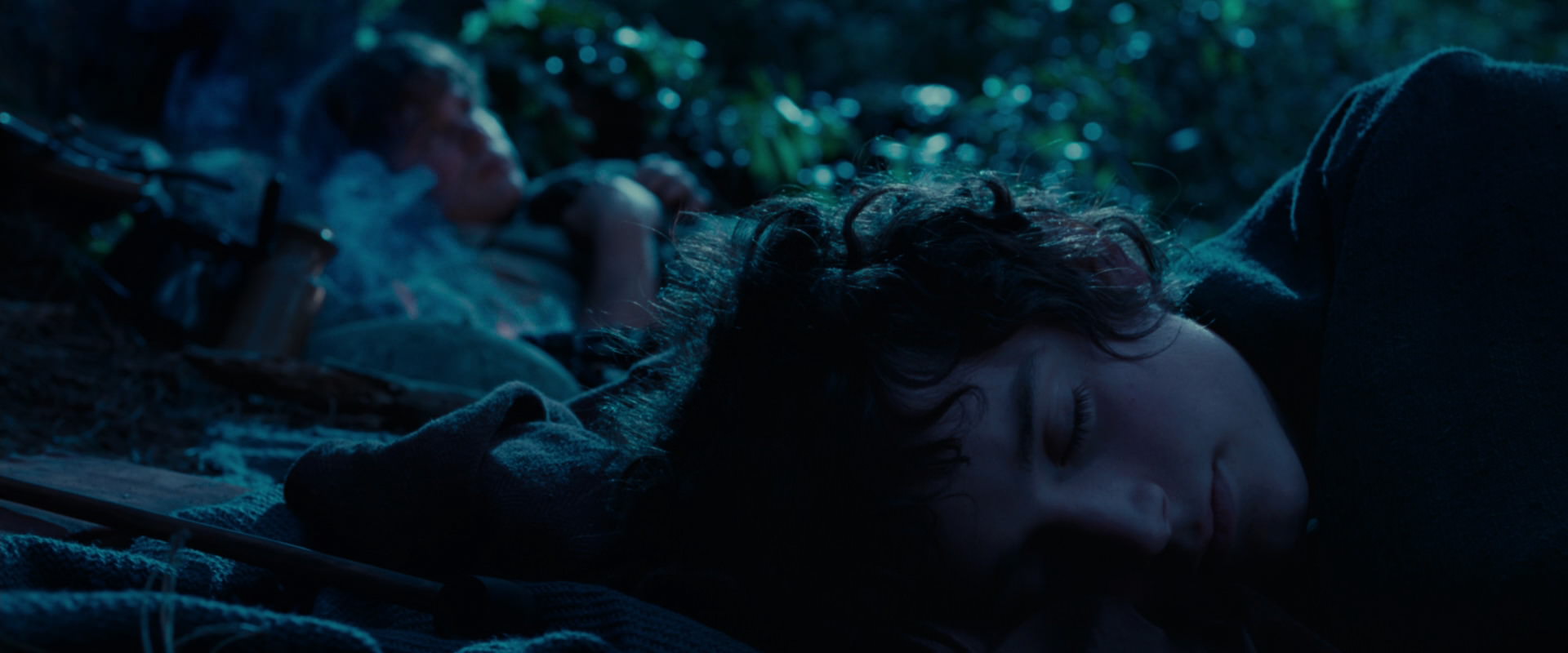 The Lord of the Rings: The Fellowship of the Ring (2001) screencap 5289