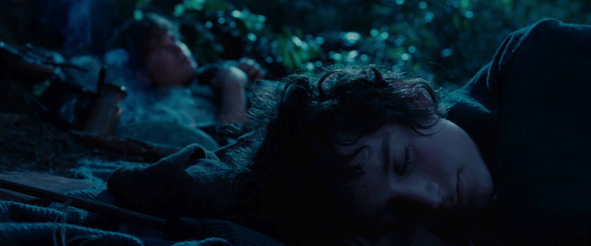 The Lord of the Rings: The Fellowship of the Ring (2001) movie still 5290