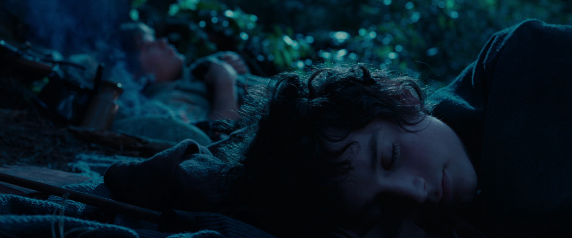The Lord of the Rings: The Fellowship of the Ring (2001) screencap 5292