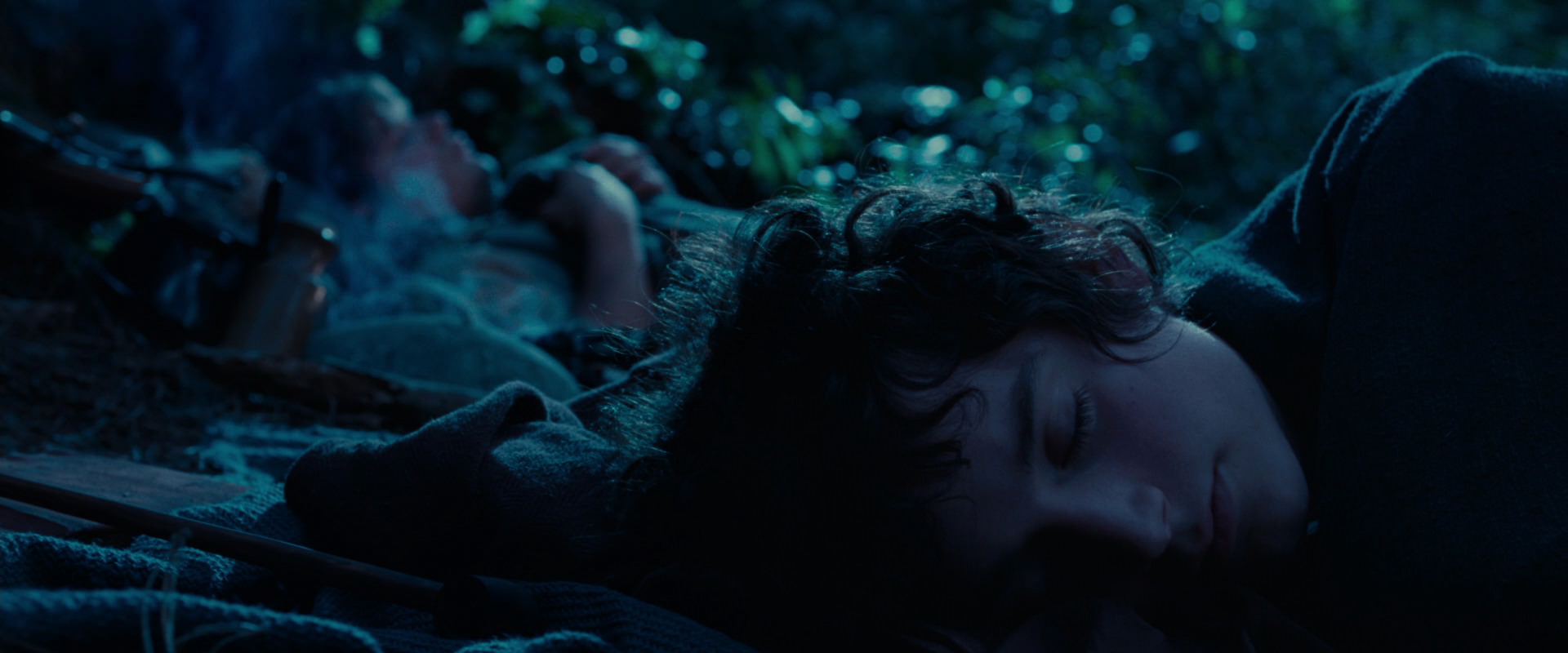 The Lord of the Rings: The Fellowship of the Ring (2001) movie still 5293