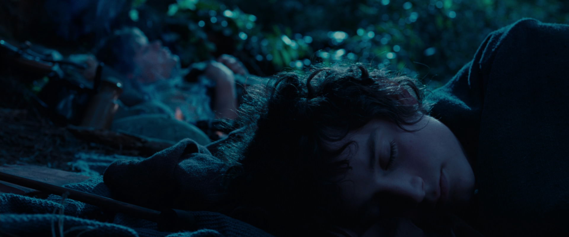 The Lord of the Rings: The Fellowship of the Ring (2001) screencap 5295