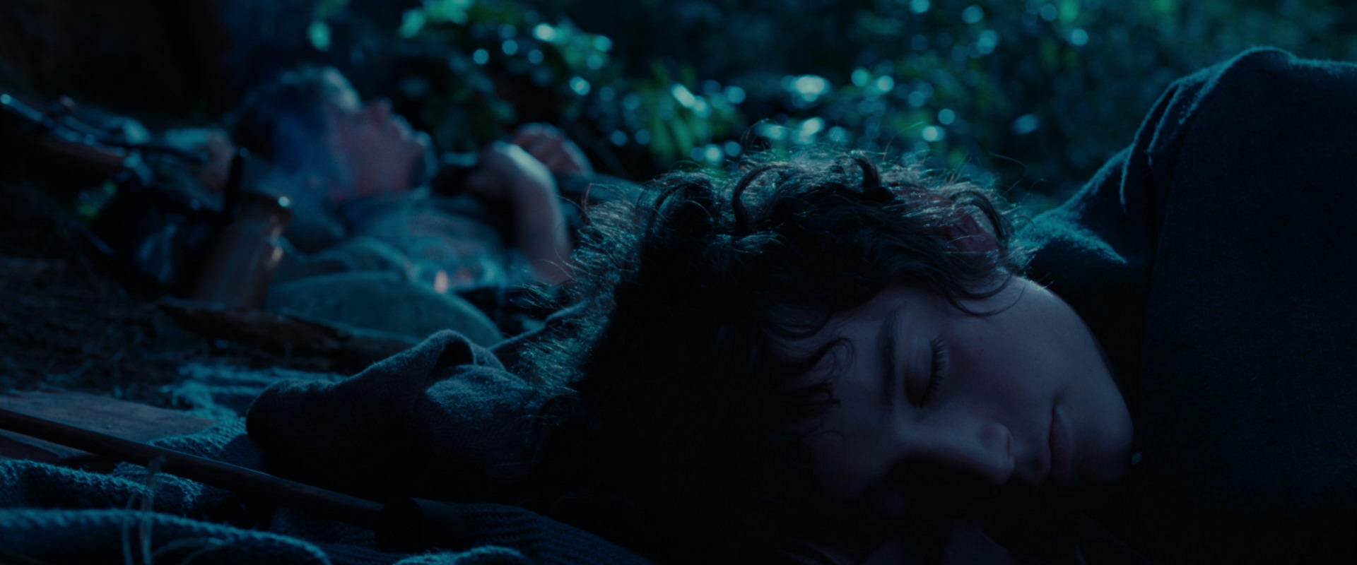 The Lord of the Rings: The Fellowship of the Ring (2001) screencap 5301