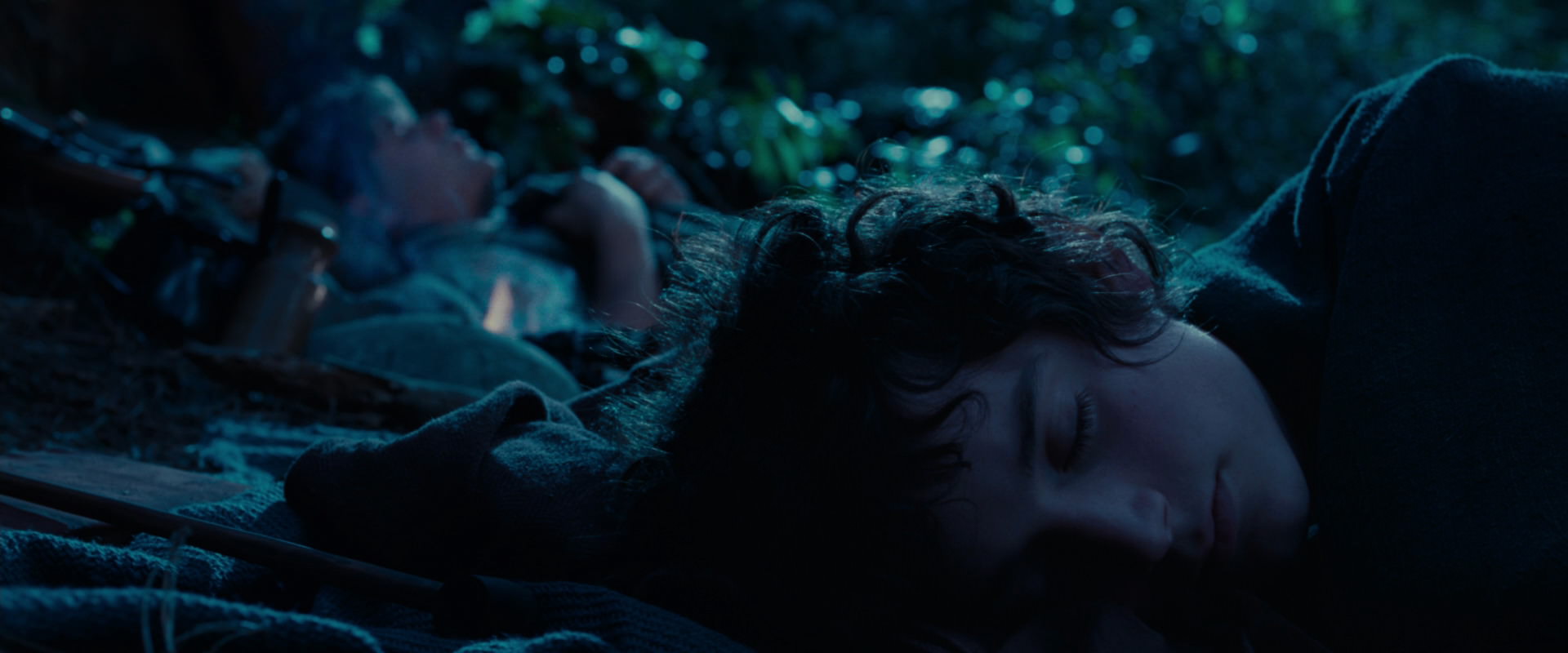 The Lord of the Rings: The Fellowship of the Ring (2001) movie still 5302