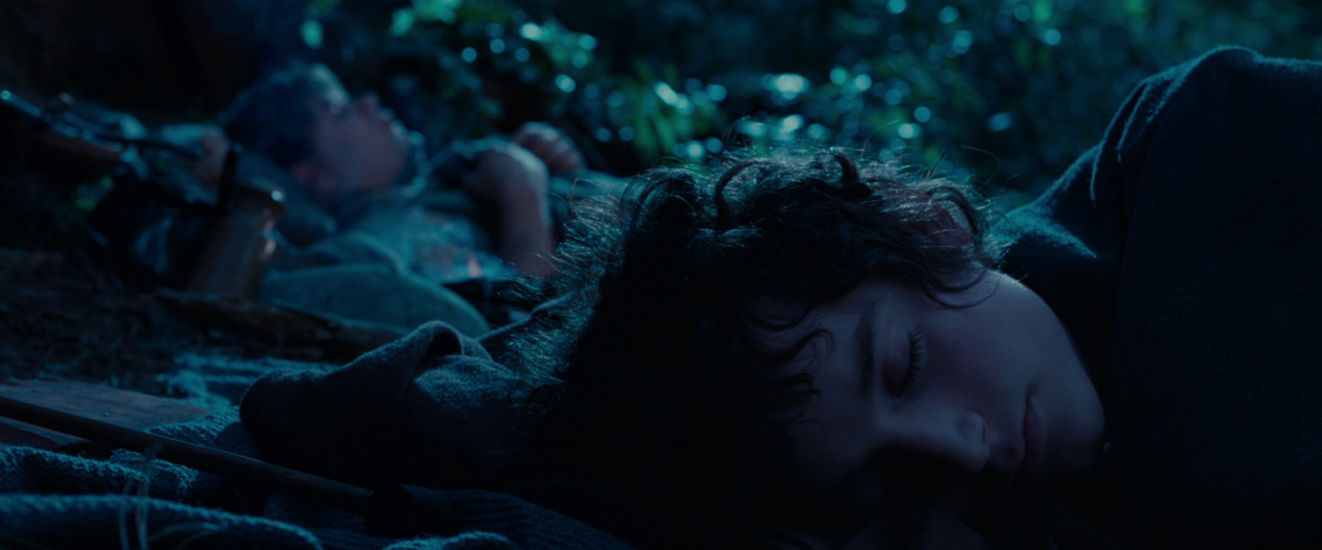 The Lord of the Rings: The Fellowship of the Ring (2001) screencap 5304
