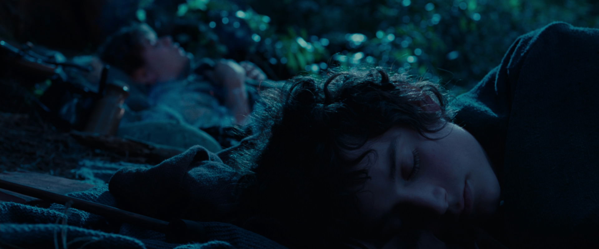The Lord of the Rings: The Fellowship of the Ring (2001) screencap 5307