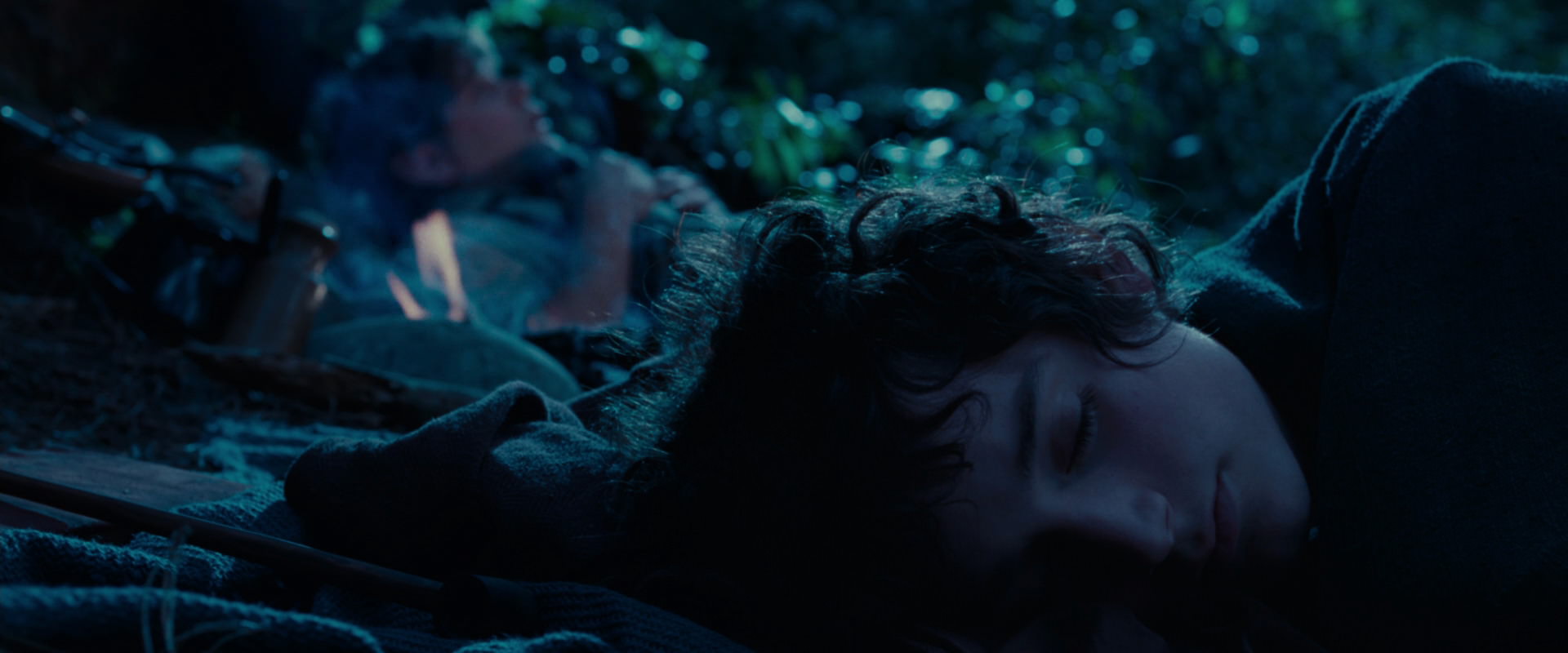 The Lord of the Rings: The Fellowship of the Ring (2001) screencap 5313