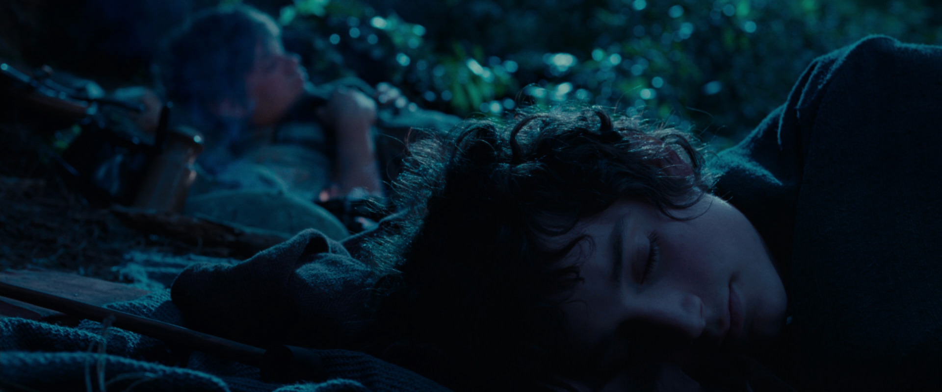 The Lord of the Rings: The Fellowship of the Ring (2001) movie still 5314