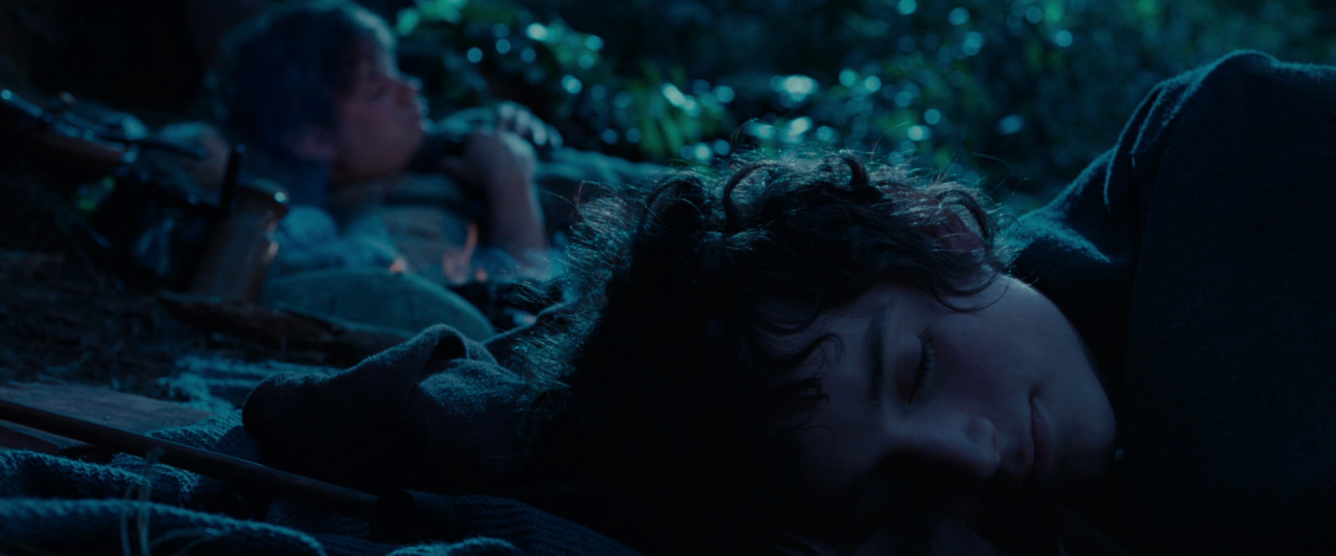 The Lord of the Rings: The Fellowship of the Ring (2001) HD screenshot 5315