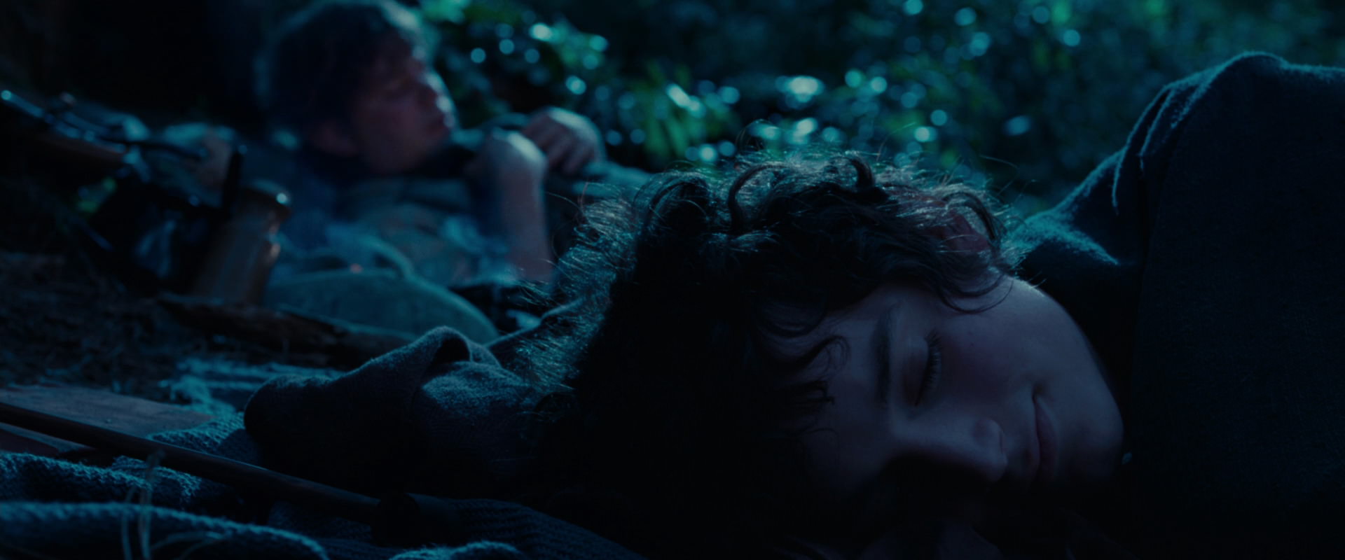 The Lord of the Rings: The Fellowship of the Ring (2001) screencap 5316