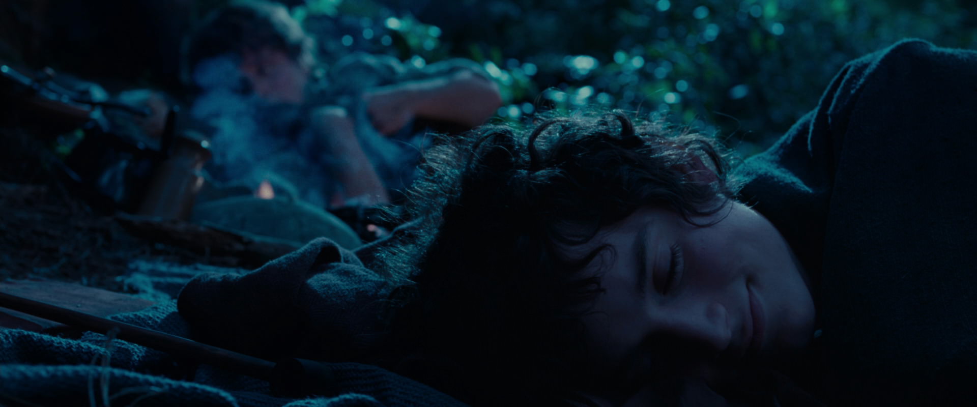 The Lord of the Rings: The Fellowship of the Ring (2001) screencap 5319