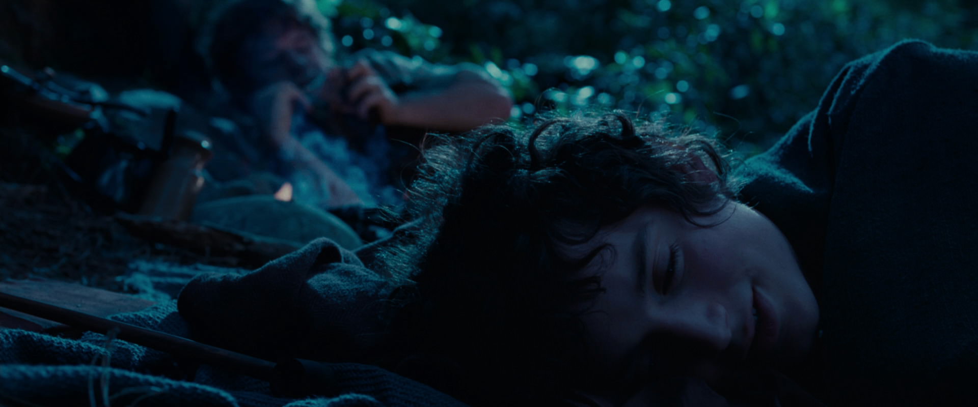 The Lord of the Rings: The Fellowship of the Ring (2001) screencap 5322