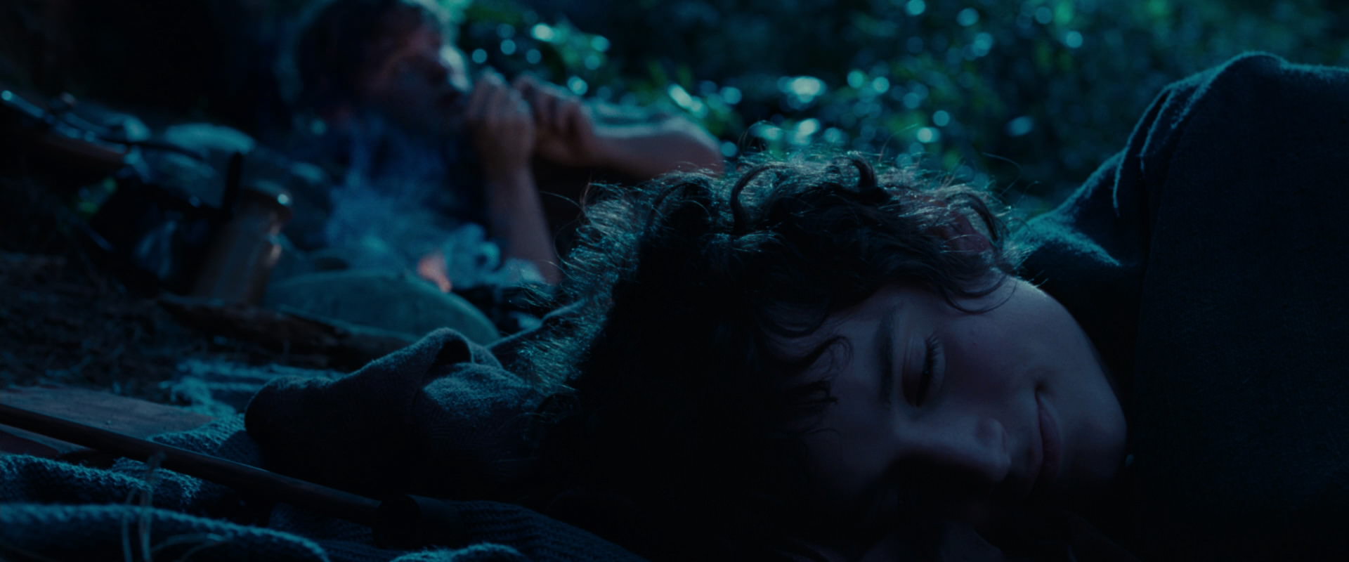 The Lord of the Rings: The Fellowship of the Ring (2001) screencap 5325