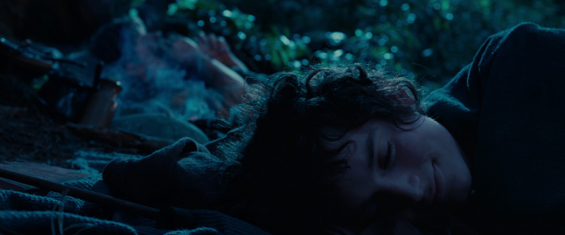 The Lord of the Rings: The Fellowship of the Ring (2001) HD screenshot 5327