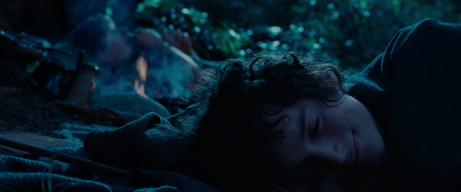 The Lord of the Rings: The Fellowship of the Ring (2001) screencap 5328