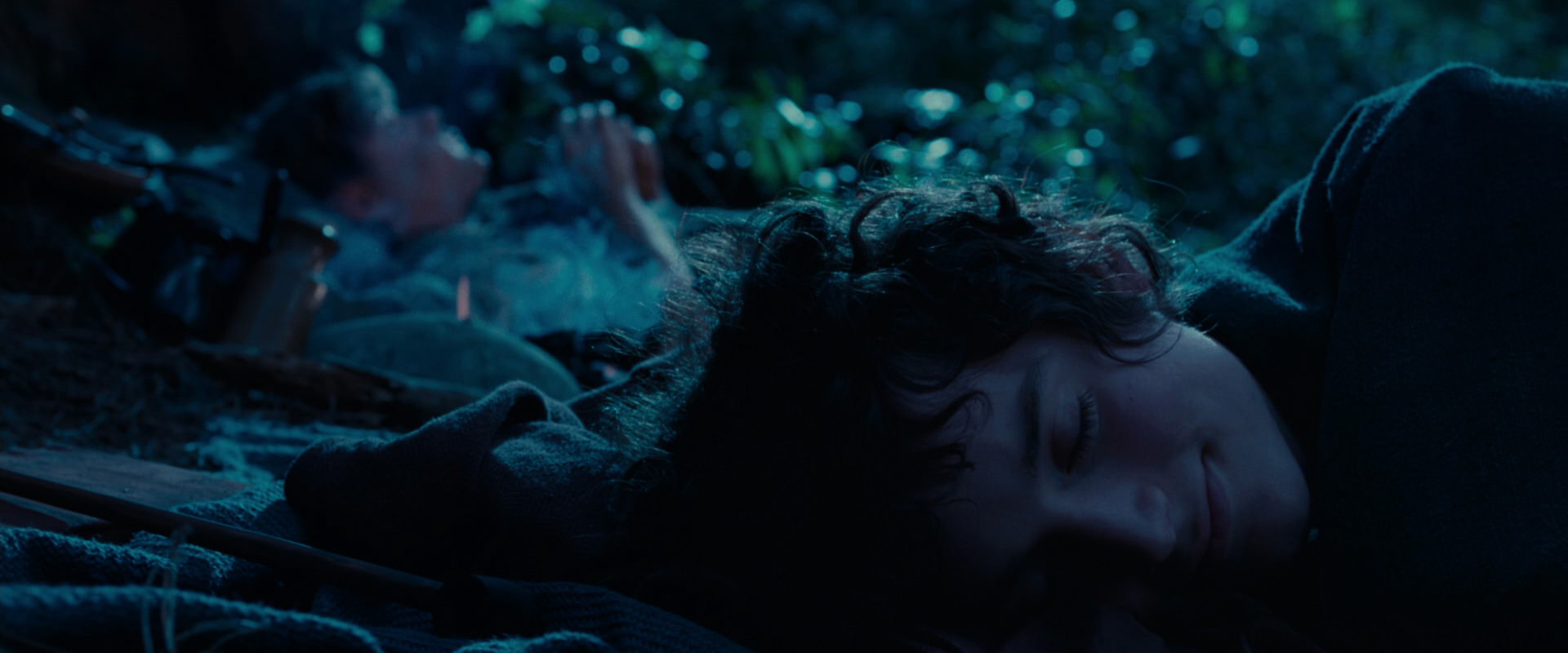 The Lord of the Rings: The Fellowship of the Ring (2001) screencap 5331