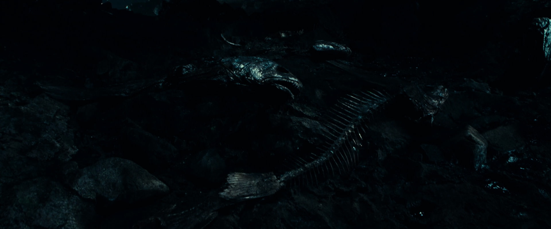 The Lord of the Rings: The Fellowship of the Ring (2001) screencap 540