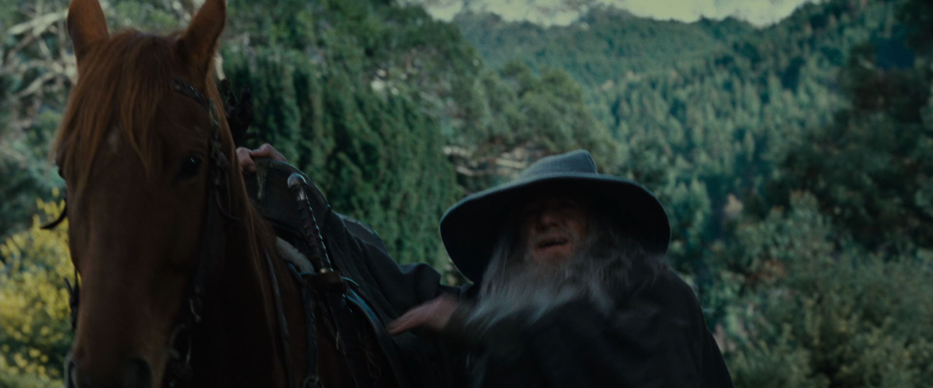 The Lord of the Rings: The Fellowship of the Ring (2001) screencap 5400