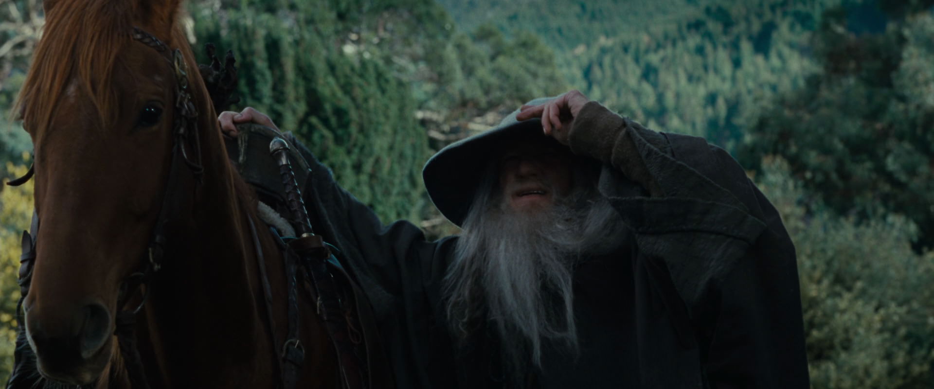 The Lord of the Rings: The Fellowship of the Ring (2001) movie still 5401