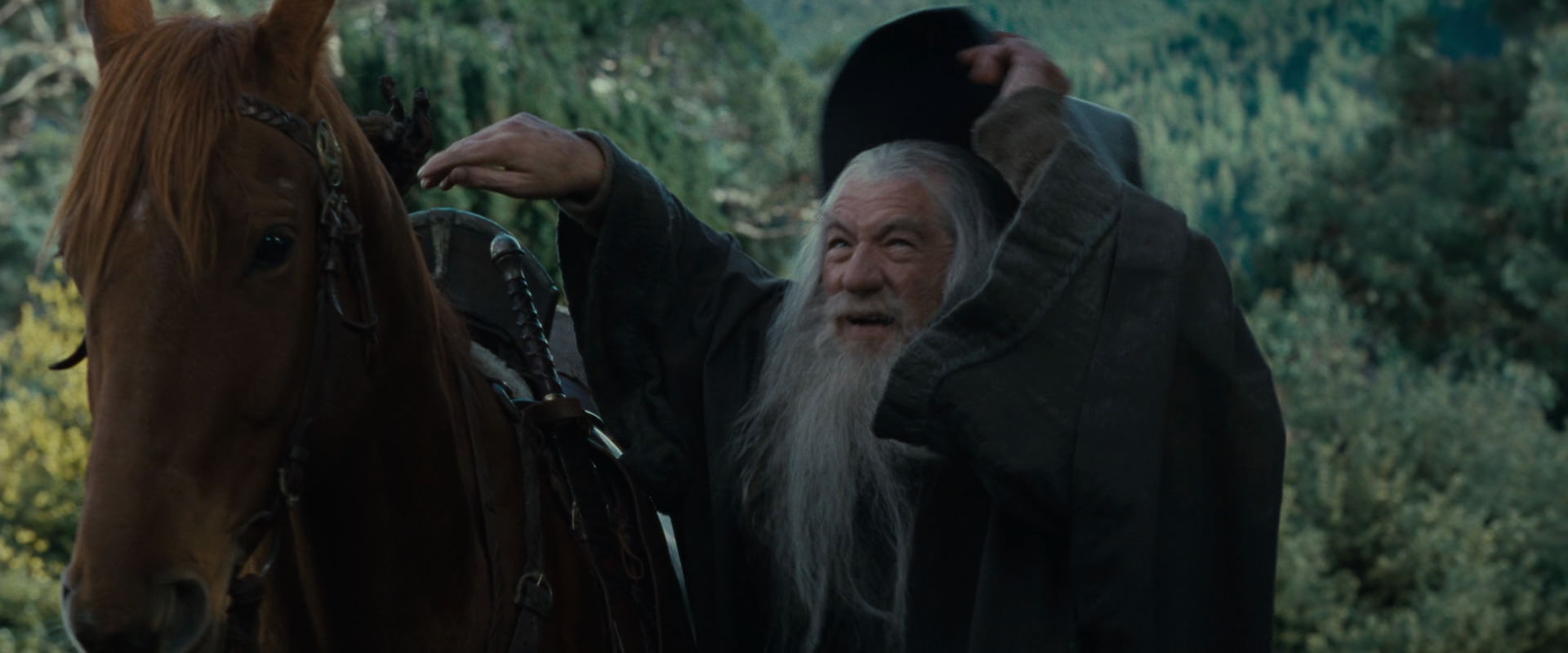 The Lord of the Rings: The Fellowship of the Ring (2001) HD screenshot 5402