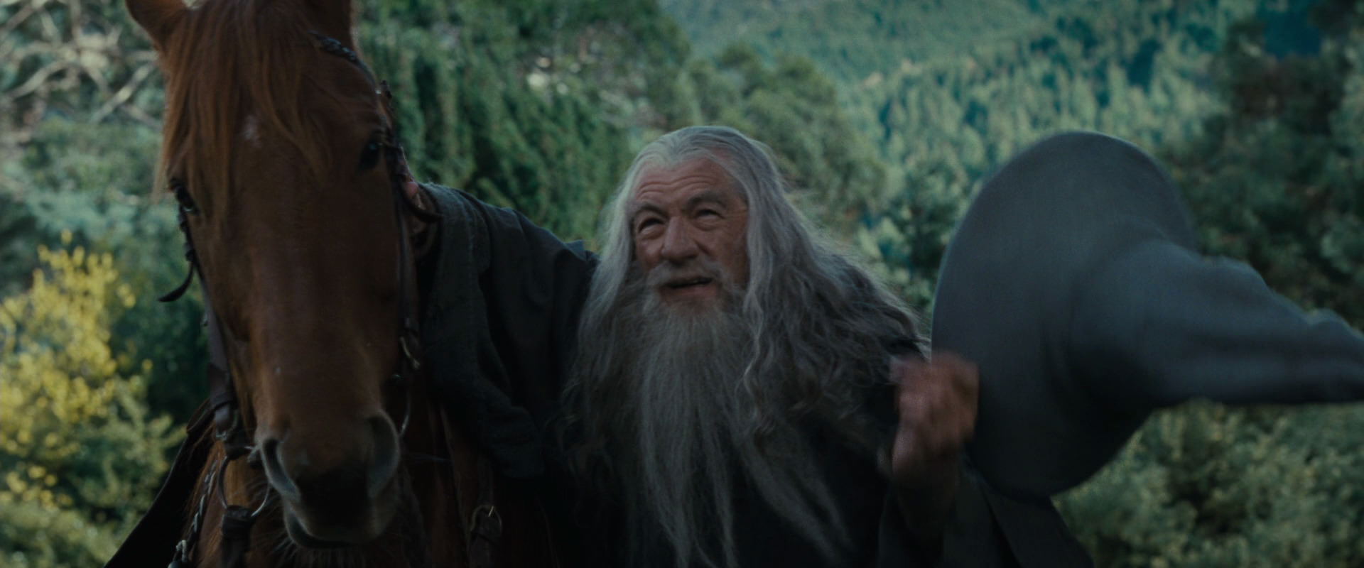 The Lord of the Rings: The Fellowship of the Ring (2001) screencap 5403