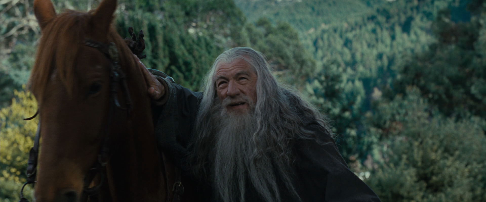 The Lord of the Rings: The Fellowship of the Ring (2001) movie still 5404