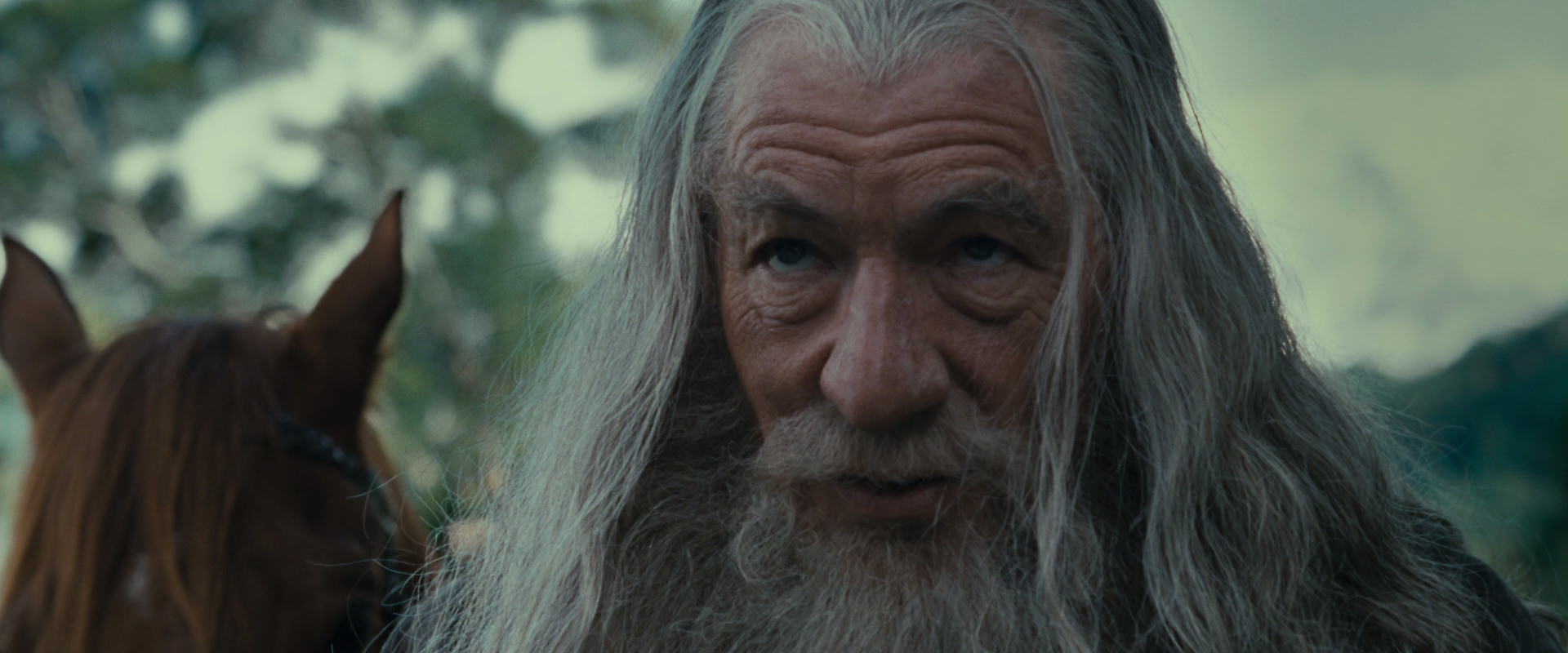 The Lord of the Rings: The Fellowship of the Ring (2001) HD screenshot 5417