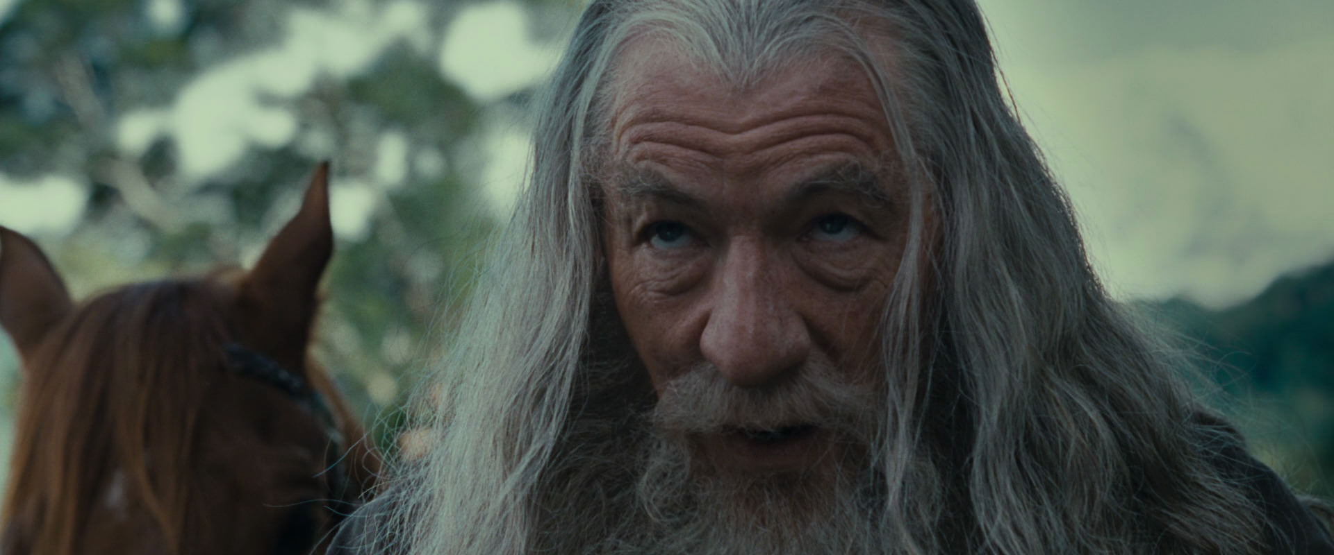 The Lord of the Rings: The Fellowship of the Ring (2001) screencap 5418