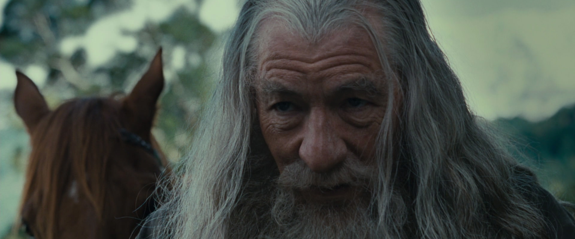 The Lord of the Rings: The Fellowship of the Ring (2001) movie still 5419